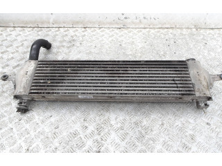 Интеркулер G3062007, 14461BB30A Nissan Qashqai+2