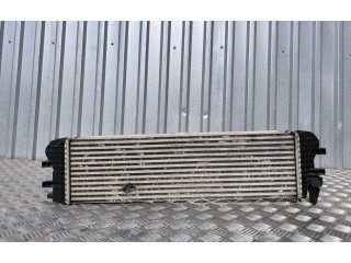 Интеркулер  4475011301, A4475011301   Mercedes-Benz Vito Viano W447 