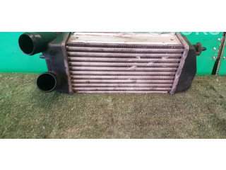 Интеркулер  IA1078   Citroen C3 