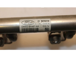 Vstřikovací lišta DM5G9H487AA, 0261555137 Ford Fiesta SFJB(Euro 5)