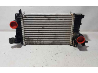 Интеркулер  99001059, 8ML376756431   Opel Meriva B 