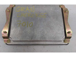 Блок управления двигателя 0281001767, P56029114AE   Jeep Grand Cherokee (WJ)