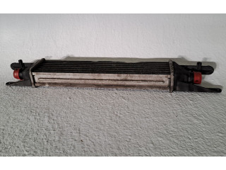 Интеркулер  55702237   Fiat Punto (199) 