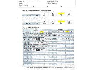Форсунка 9802448680, 50274V05    Peugeot 5008   