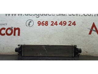 Интеркулер 51783791, 866455500 Fiat Bravo