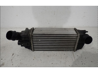 Интеркулер  384N4   Citroen C5 