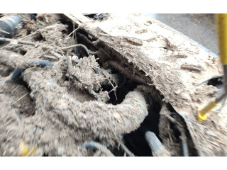 Вентилятор радиатора 214813070R, T230270428 Dacia Sandero III