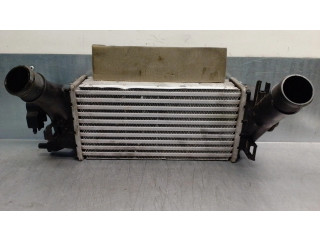 Интеркулер H1BG6K775AC Ford Fiesta 1.0