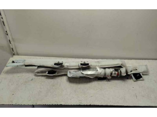 Подушка безопасности двери 1035383-Y-Z Skoda Fabia Mk3 (NJ)