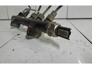 Vstřikovací lišta 94675G01, 1309155009   Citroen Berlingo     