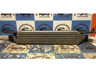 Интеркулер  0055700449   Fiat Punto (199) 