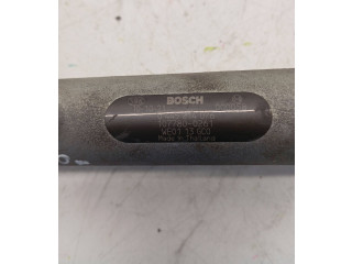 Топливная рампа 1077800261, WE0113GC0 Ford Ranger