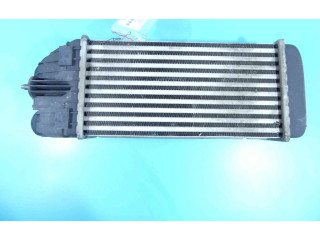 Интеркулер  2002199, IMPRK1303352   Peugeot 301 