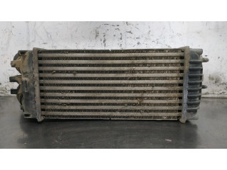 Интеркулер     Citroen Berlingo 1.6