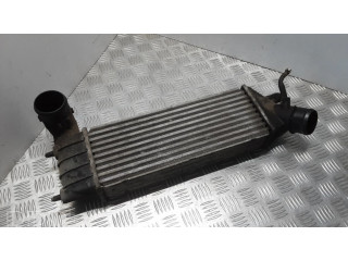 Интеркулер 1489396080 Citroen C8 2.2