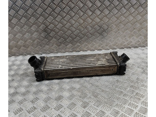 Интеркулер GK216K775AE Ford Transit - Tourneo Connect