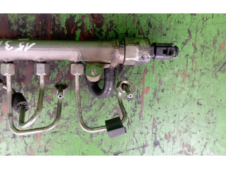 Топливная рампа R03L125A Skoda Fabia Mk2 (5J)