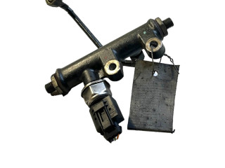 Vstřikovací lišta 4R8Q9C066AC, A2C20001297 Peugeot 607