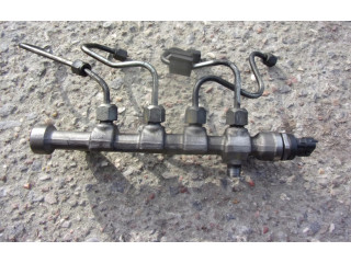 Топливная рампа Fiat Freemont