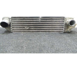 Интеркулер TATATOYO Tata Indigo I