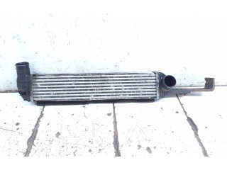 Интеркулер C200CAC, 1B14BA SsangYong Korando