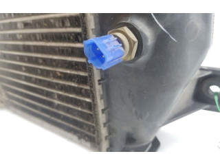 Интеркулер 1271003610 Mazda 3 II