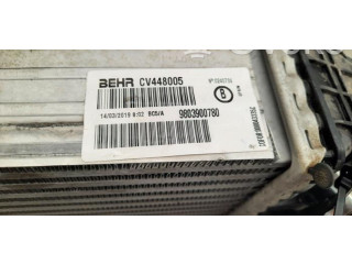 Интеркулер 9803900780 Citroen C3 Aircross