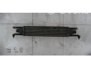 Интеркулер  0000050540161   Fiat Punto Evo 