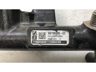 Топливная рампа 9663305480, 28497Z01   Citroen DS4 2.0 