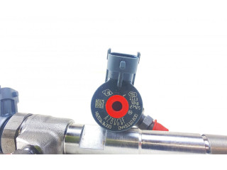 Комплект форсунок 0445110800, 166007427R Dacia Duster II K9K 878