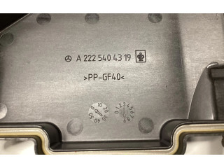 Pojistková skříňka A2225404319 Mercede-Benz S W222 2015