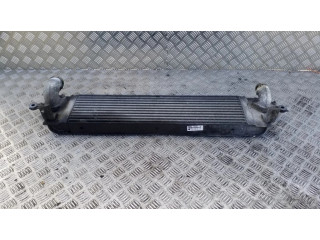 Трубка (трубки)/ шланг (шланги) интеркулера