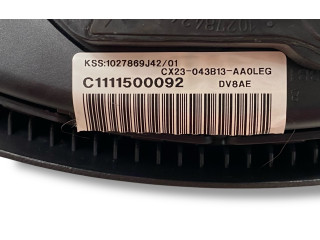 Подушка безопасности водителя CX23043B13AA, 1027869442 Jaguar XF X250