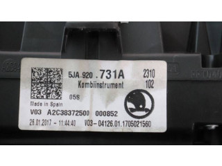 Панель приборов 5JA920731A, 000852   Skoda Rapid (NH)       