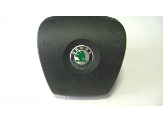 Подушка безопасности водителя 1Z0880201N Skoda Octavia Mk2 (1Z)