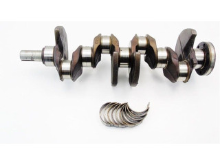 Коленвал Renault Kangoo III