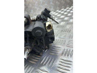 Vstřikovací čerpadlo 167003669R, 5WS40844 Renault Megane IV K9K656