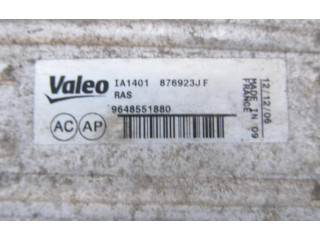 Интеркулер 9648551880, 876923JF Peugeot 5008