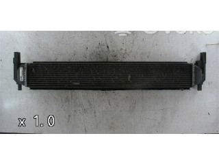 Интеркулер 6R0145805H, 6R0145805H Skoda Fabia Mk2 (5J)