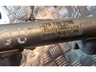 Vstřikovací lišta 079133316E, 079133315E Audi A8 S8 D3 4E