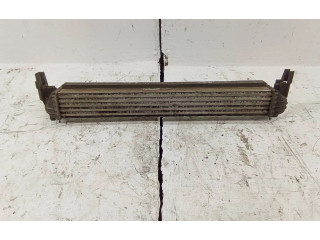 Интеркулер W0225002 Skoda Roomster (5J)