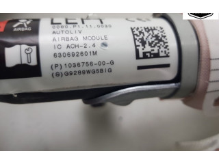 Надувная подушка для крыши 103675600G, 103675600G Tesla Model X A0003K8775D