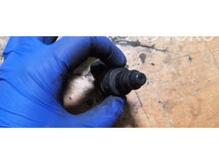 Форсунка IW054 Citroen Xantia