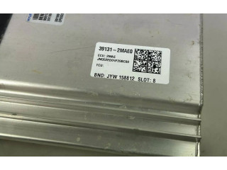 Блок управления двигателя