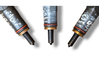 Форсунка 0414720215, 038130073AG Skoda Fabia Mk2 (5J) BNV