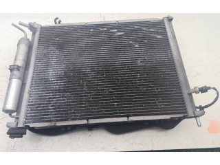 Pojistková skříňka 8200966248 Renault Modus 2004