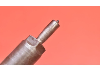 Форсунка 0445110252, 0445110252    Citroen Nemo   