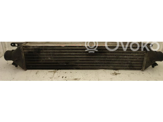 Интеркулер     Fiat Grande Punto 