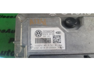 Блок управления двигателем Блок управления 03C906024B, 6160139306   Skoda Fabia Mk2 (5J)