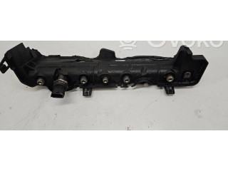 Топливная рампа    Renault Megane III  